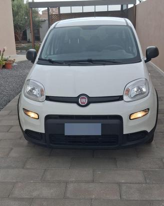 FIAT PANDA MY 23 1.0 MAGGIO 2023