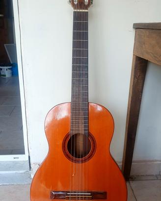 chitarra classica Som D'ouro