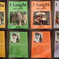 libri di funghi 