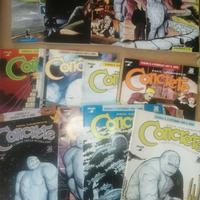Collezione Concrete ( fumetto ) numeri vari