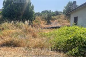 Appartamento Soriano nel Cimino [A4339432]