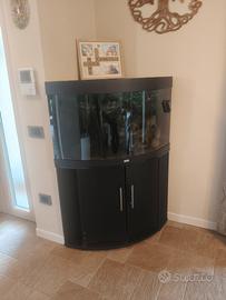 acquario angolare Juwel Trigon190