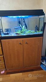acquario con decorazioni
