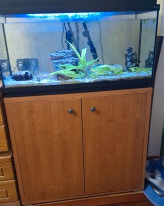 acquario con decorazioni