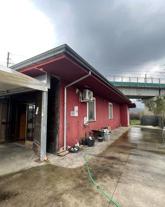 Indipendente