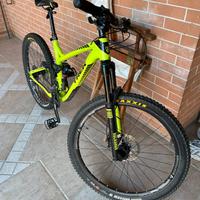 TREK REMEDY 7