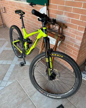 TREK REMEDY 7