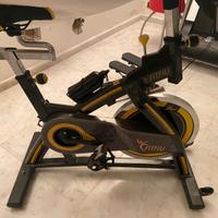 BICI DA SPINNING USATA POCHISSIMO