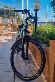 Bicicletta elettrica