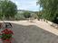 Immagine 14