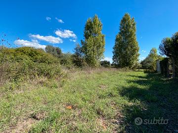 Terreno edificabile a nettuno