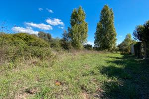 Terreno edificabile a nettuno