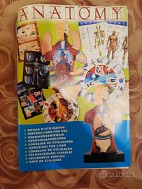 Gioco in scatola didattico anatomia