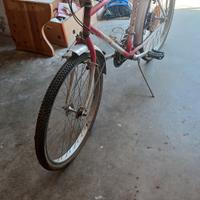 bicicletta da ragazzo 