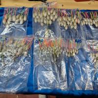 Galleggianti sarfix grammature in foto €1cad