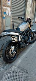 benelli leoncino 800