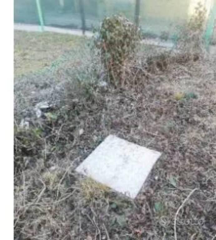 Immobile in asta di 3600 m² a Scorzè - Vista 4
