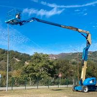 Piattaforma semovente elevabile