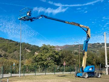 Piattaforma semovente elevabile