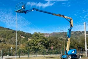 Piattaforma semovente elevabile