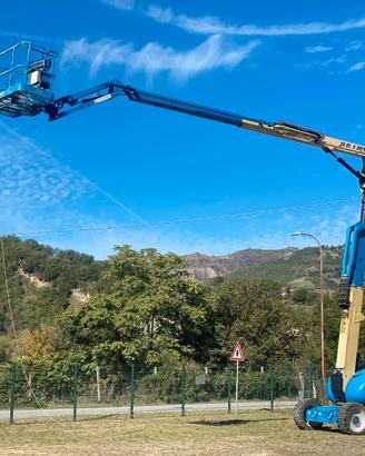 Piattaforma semovente elevabile
