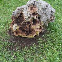 Sasso ornamentale grande