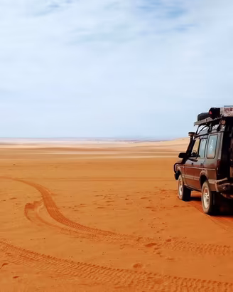 Portapacchi Bagagliera Land Rover Discovery I e II