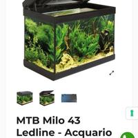 acquario 23 L