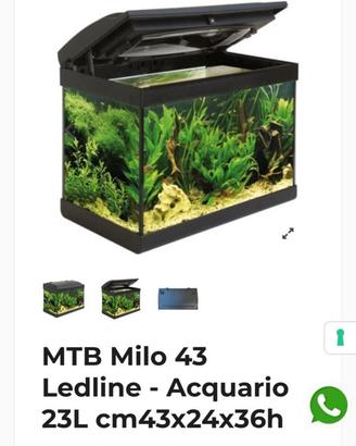 acquario 23 L