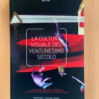 La cultura visuale del ventunesimo secolo