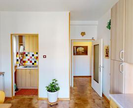 Trilocale con balcone ad Aslago