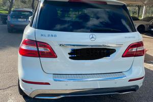 Mercedes Ml250