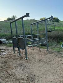 Travaglio doppio per cavalle