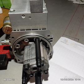 pompa ad ingranaggi con motore 12 V 3 Kw