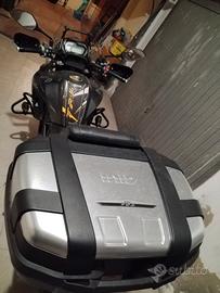 Benelli TRK 502 - 2021