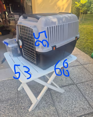 TRASPORTINO CANE