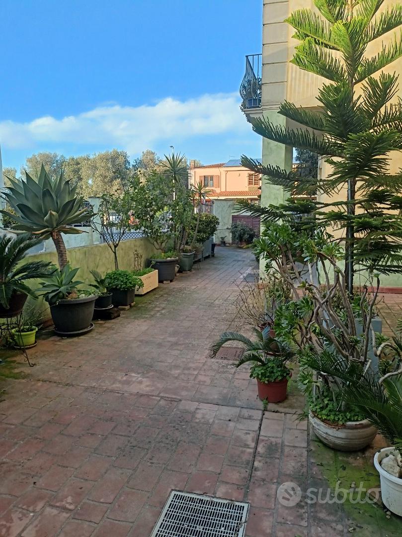 Apartment in Elmas, Casteddu/Cagliari - Vista 4