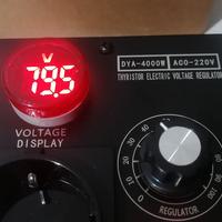 Regolatore di Tensione Regolabile AC 220V 4000W