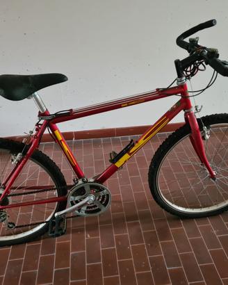 Bici MTB