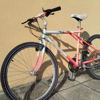 Mountain Bike 26 pollici