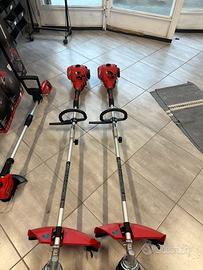 Decespugliatore Einhell GC-BC 30/1 AS