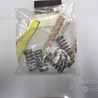 Molle frizione rinforzate malossi rs 50 - derbi