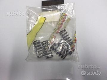 Molle frizione rinforzate malossi rs 50 - derbi