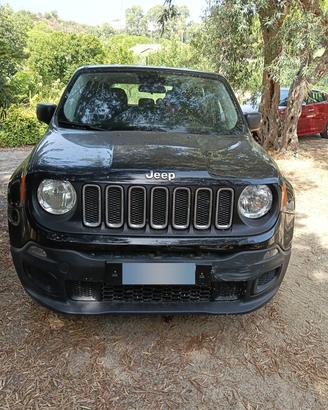jeep Renegade immatricolata autocarro