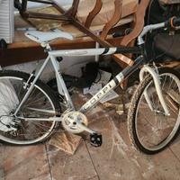 Bici Mtb Fausto Coppi Limited edition AX2622