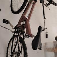 Mountainbike Pastorino