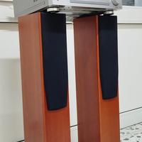 diffusori indiana line e sintoamplificator Pionner