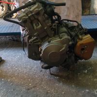 Pezzi per Honda Hornet 600 del 1998