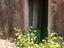 Immagine 11