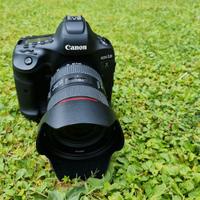 Canon EOS 1DX mark 2 - 60k scatti